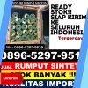 Distributor Rumput Plastik Bunut.jpg