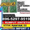 Pusat Rumput Imitasi Kesamben.jpg