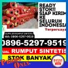 Distributor Rumput Imitasi Padang Timur.jpg