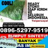 Pusat Rumput Plastik Dusun Hilir.jpg