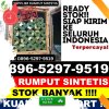 Agen Rumput Palsu Binjai Kota.jpg