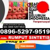 Penjual Rumput Imitasi Sumber Wringin.jpg