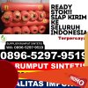 Jual Rumput Imitasi Umbunasi.jpg