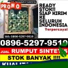 Jual Rumput Sintetis Asakota.jpg