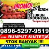 Penjual Rumput Imitasi Sungai Kunjang.jpg