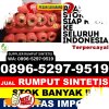 Grosir Rumput Sintetis Takokak.jpg