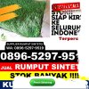 Grosir Rumput Imitasi Kabupaten Aceh Utara.jpg