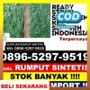 Penjual Rumput Plastik Kota Denpasar.jpg