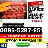 Penjual Rumput Imitasi Suppa.jpg