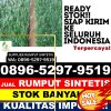 Gudang Rumput Palsu Muara Sipongi.jpg