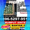 Distributor Rumput Plastik Cijambe.jpg