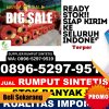 Distributor Rumput Imitasi Panca Jaya.jpg