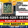 Grosir Rumput Plastik Bandar Negeri Suoh.jpg