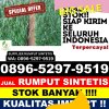 Gudang Rumput Palsu Nagreg.jpg