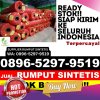 Distributor Rumput Imitasi Pangkalan Banteng.jpg