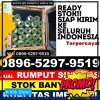 Jual Rumput Sintetis Bandar Dua.jpg