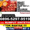 Penjual Rumput Imitasi Tamanan.jpg