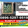 Jual Rumput Palsu Abung Tinggi.jpg