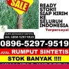 Pusat Rumput Imitasi Kotabumi Utara.jpg