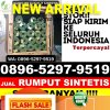 Jual Rumput Sintetis Bangsalsari.jpg