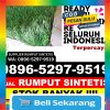 Grosir Rumput Imitasi Kabupaten Kulon Progo.jpg