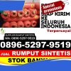 Grosir Rumput Sintetis Tapian Nauli.jpg