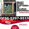 Distributor Rumput Plastik Cisewu.jpg