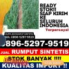 Pusat Rumput Imitasi Krucil.jpg