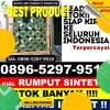 Jual Rumput Sintetis Bantarujeg.jpg