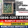 Agen Rumput Palsu Candisari.jpg