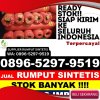 Penjual Rumput Imitasi Tanjung Beringin.jpg