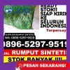 Gudang Rumput Sintetis Getasan.jpg