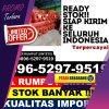 Distributor Rumput Imitasi Patani Timur.jpg