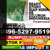 Pusat Rumput Plastik Ilir Timur I.jpg