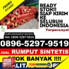 Agen Rumput Plastik Pariaman Selatan.jpg