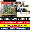 Distributor Rumput Plastik Dayun.jpg