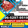 Distributor Rumput Imitasi Pedurungan.jpg