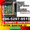 Grosir Rumput Plastik Batujajar.jpg