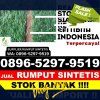 Penjual Rumput Plastik Kuta Baro.jpg