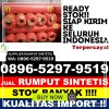 Penjual Rumput Imitasi Tebas.jpg