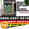 Jual Rumput Palsu Bae.jpg