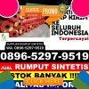 Distributor Rumput Imitasi Pemenang.jpg