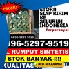 Grosir Rumput Plastik Belantikan Raya.jpg