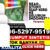 Pusat Rumput Plastik Jatipurno.jpg