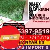 Grosir Rumput Imitasi Kabupaten Tapin.jpg