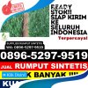 Penjual Rumput Plastik Lae Parira.jpg