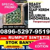 Jual Rumput Palsu Balige.jpg