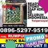 Grosir Rumput Plastik Benjeng.jpg