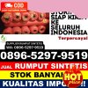 Grosir Rumput Sintetis Tlogosari.jpg