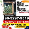 Jual Rumput Sintetis Bengkalis.jpg